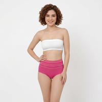 Women’s High-Waisted Tummy Support Briefs | Tummy Control & Shaping Panty - (Pack of 3)
